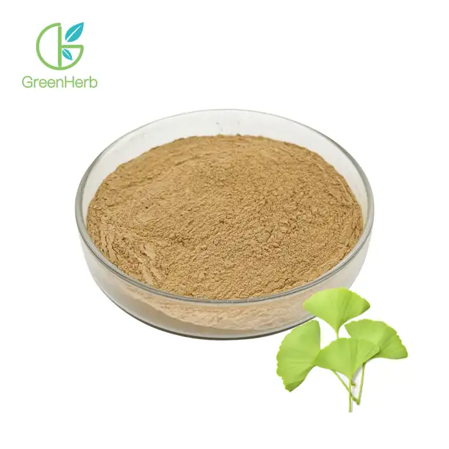 Ginkgo Biloba Extract Powder